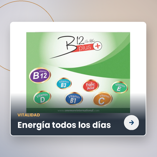 B12 Plus