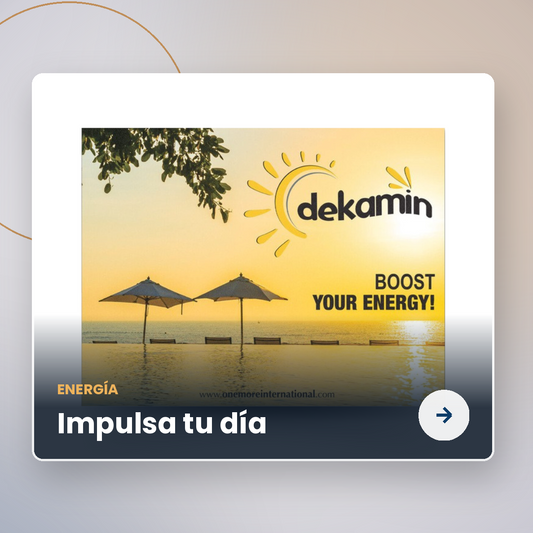 Dekamin